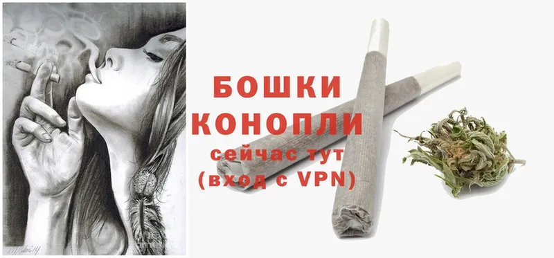 купить наркотик  Электросталь  Конопля Ganja 